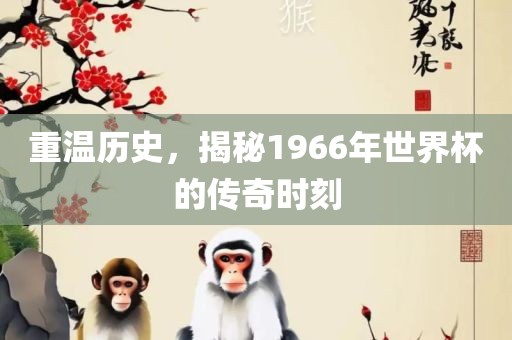 重温历史，揭秘1966年世界杯的传奇时刻金炬实业股份有限公司