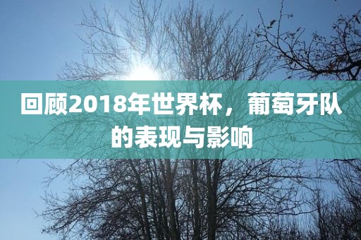 回顾2018年世界杯，葡萄牙队的表现与影响
