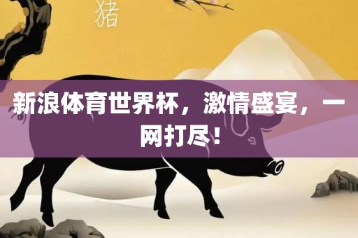 新浪体育世界杯，激情盛宴，一网打尽！金炬实业股份有限公司