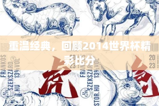 重温经典，回顾2014世界杯精彩比分金炬实业股份有限公司