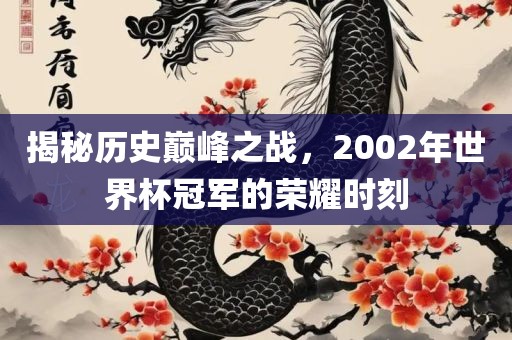 揭秘历史巅峰之战，2002年世界杯冠军的荣耀时刻金炬实业股份有限公司