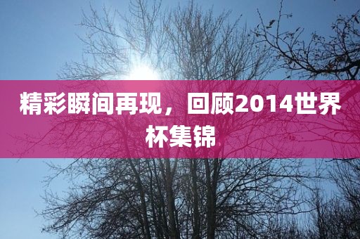 精彩瞬间再现，回顾2014世界杯集锦金炬实业股份有限公司