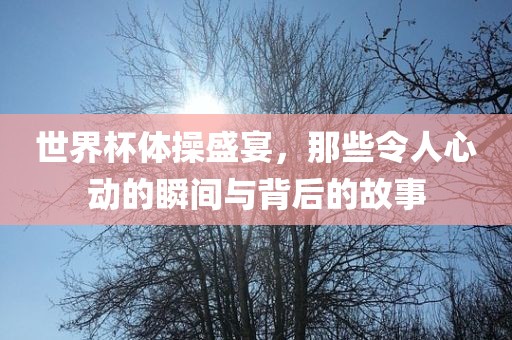 世界杯体操盛宴，那些令人心动的瞬间与背后的故事金炬实业股份有限公司