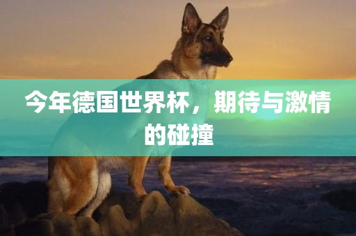 今年德国世界杯，期待与激情的碰撞金炬实业股份有限公司