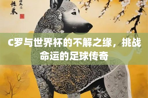 C罗与世界杯的不解之缘，挑战命运的足球传奇金炬实业股份有限公司
