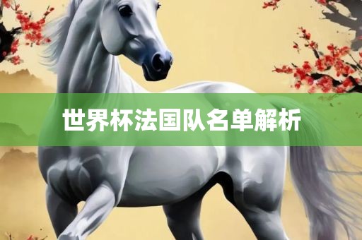 世界杯法国队名单解析金炬实业股份有限公司