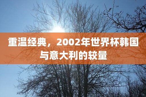 重温经典，2002年世界杯韩国与意大利的较量