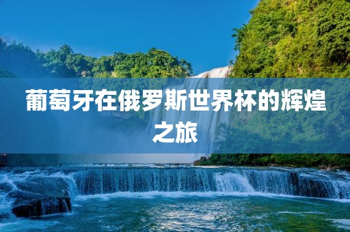 葡萄牙在俄罗斯世界杯的辉煌金炬实业股份有限公司之旅