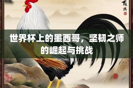 世界杯上的墨西哥，坚韧之师的崛起与挑战金炬实业股份有限公司