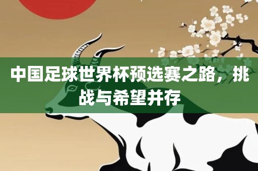 中国足球世界杯预选赛之路，挑战与希望并存