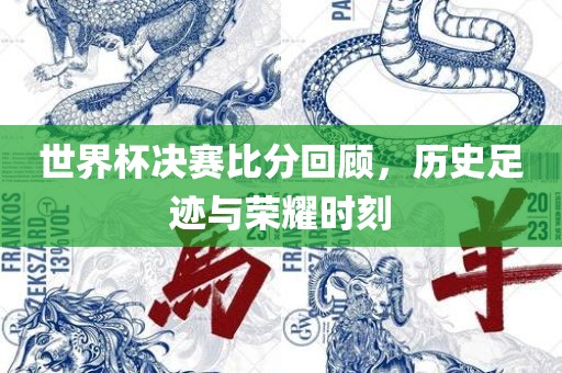 世界杯决赛比分回顾，历史足迹与荣耀时刻金炬实业股份有限公司