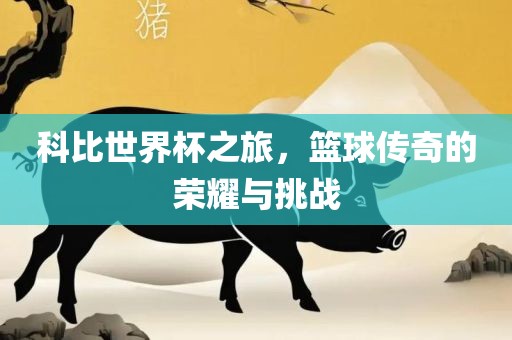 科比世界杯之旅，篮球传奇的荣耀与挑战金炬实业股份有限公司