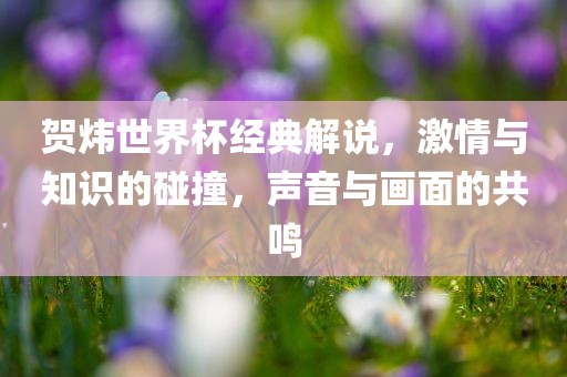 贺炜世界杯经典解说，激情与知识的碰撞，声音与画面的共鸣