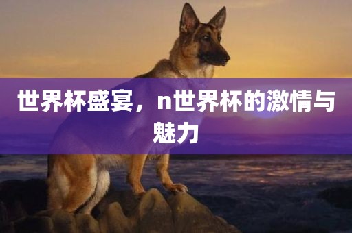 世界杯盛宴，n世界杯的激情与魅力金炬实业股份有限公司