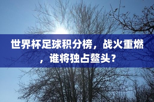 世界杯足球积分榜，战火重燃，谁将独占鳌头？