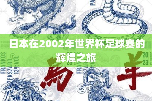 日本在2002年世界杯足球赛的辉煌之旅