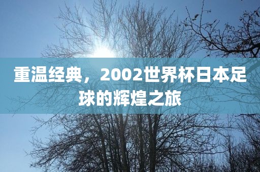 重温经典，2002世界杯日本足球的辉煌之旅金炬实业股份有限公司