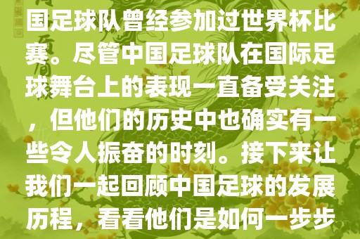 中国进过世界杯吗？是的，中国足球队曾经参加过世界杯比赛。尽管中国足球队在国际足球舞台上的表现一直备受关注，但他们的历史中也确实有一些令人振奋的时刻。接下来让我们一起回顾中国足球的发展历程，看看他们是如何一步步走向世界杯的。金炬实业股份有限公司