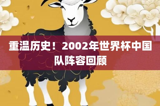 重温历史！2002年世界杯中国队阵容回顾