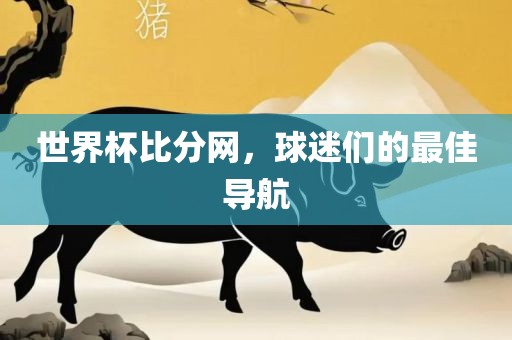 世界杯比分网，球迷们的最佳导航