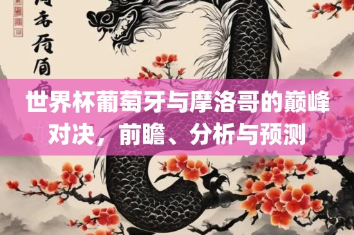世界杯葡萄牙与摩洛哥的巅峰对决，前瞻、分析与预测金炬实业股份有限公司