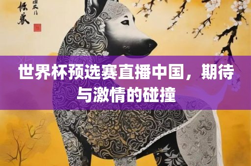 世界杯预选赛直播中国，期待与激情的碰撞