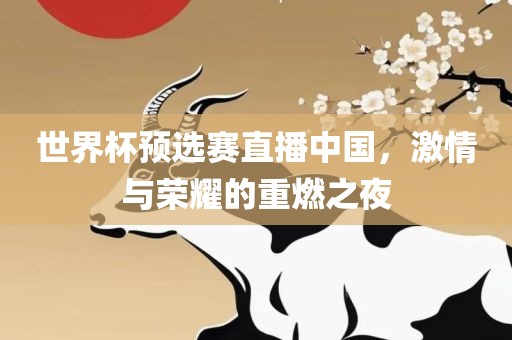 世界杯预选赛直播中国，激情与荣耀的重燃之夜