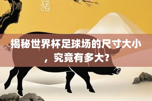 揭秘世界杯足球场的尺寸大小，究竟有多大？