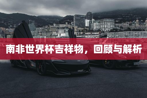 南非世界杯吉祥物，回顾与解析金炬实业股份有限公司