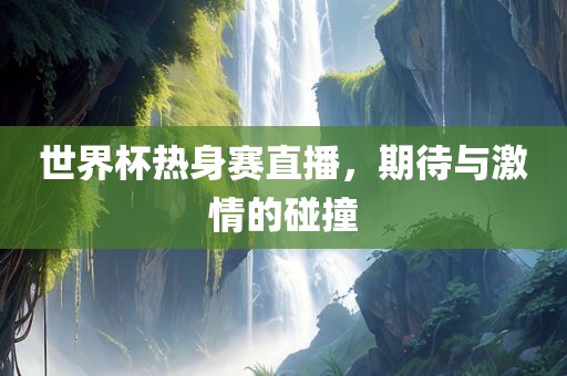 世界杯热身赛直播，期待与激情的碰撞金炬实业股份有限公司