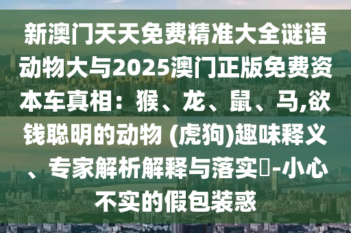 全球精英水上盛宴