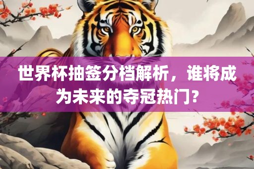 世界杯抽签分档解析，谁将成为未来的夺冠热门？金炬实业股份有限公司