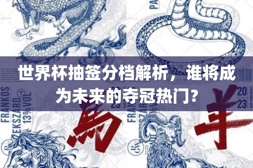 世界杯抽签分档解析，谁将成为未来金炬实业股份有限公司的夺冠热门？