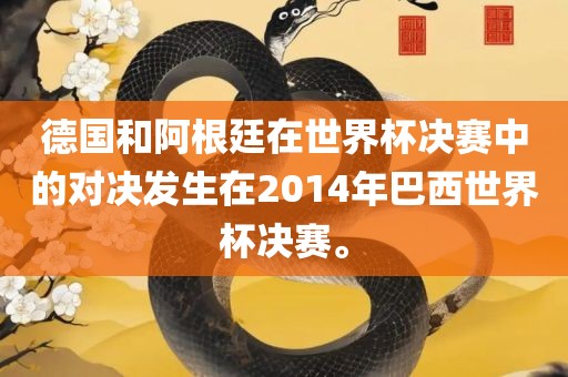 德国和阿根廷在世界杯决赛中的对决发生在2金炬实业股份有限公司014年巴西世界杯决赛。