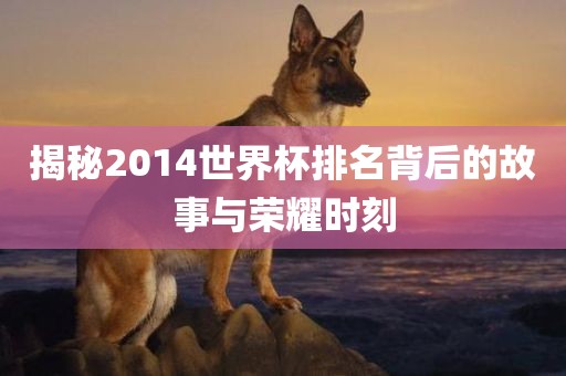 揭秘2014世界杯排名背金炬实业股份有限公司后的故事与荣耀时刻