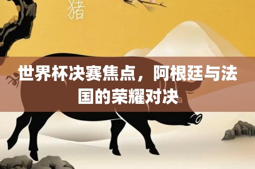 世界杯决赛焦点，阿根廷与法国的荣耀对决金炬实业股份有限公司