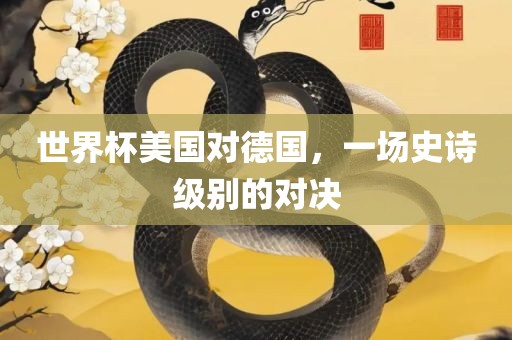 世界杯美国对德国，一场史诗金炬实业股份有限公司级别的对决