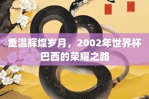 重温辉煌岁月，2002年世界杯巴西的荣金炬实业股份有限公司耀之路