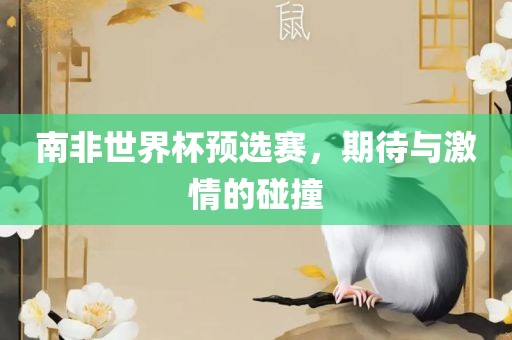南非世界杯预选赛，期待与激情的碰撞金炬实业股份有限公司