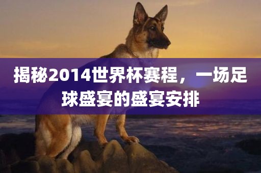 揭秘2014世界杯赛程，一场足球盛宴的盛宴安排