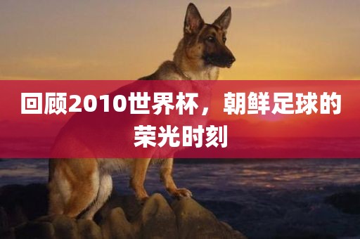 回顾2010世界杯，朝鲜足球的荣光时刻