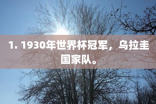 1. 1930年世界杯冠军，乌拉圭国家队。