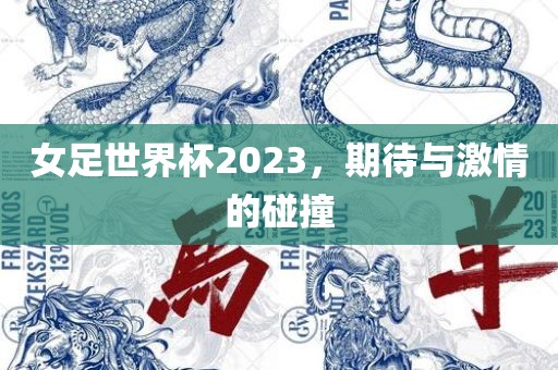 女足世界杯2023，期待与金炬实业股份有限公司激情的碰撞