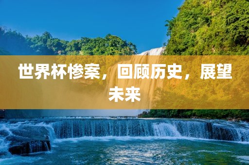世界杯惨案，回顾历史，展望未来