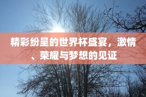 精彩纷呈的世界杯盛宴，激情、荣耀与梦想的见证