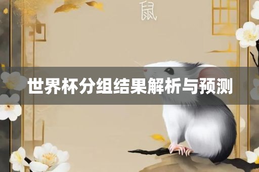世界杯分组结果解析与预测