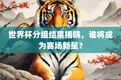 世界杯分组结果揭晓，谁将成为赛场新星？