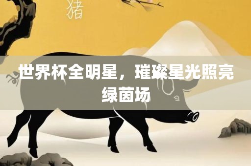 世界杯全明星，璀璨星光照亮绿茵场金炬实业股份有限公司