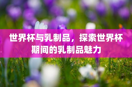 世界杯与乳制品，探索世界杯期间的乳制品魅力金炬实业股份有限公司