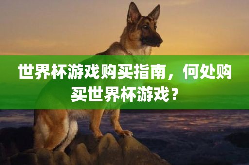 世金炬实业股份有限公司界杯游戏购买指南，何处购买世界杯游戏？